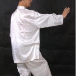 孙氏形意拳:劈拳学(5)——张烈