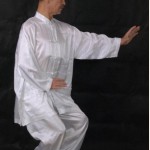 孙氏形意拳：劈拳学(10)——张烈