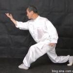 孙式形意拳之五行连环拳（4）——张烈